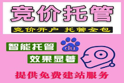 专业SEM托管服务，效果显著的案例展示